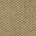 Custom Area Rug