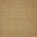Custom Area Rug