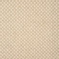 Custom Area Rug